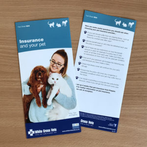 Insurance Leaflets (G04) (Supplied As 250 Leaflets)