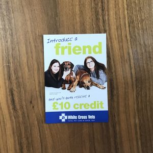 Recommend A Friend Leaflets (500)