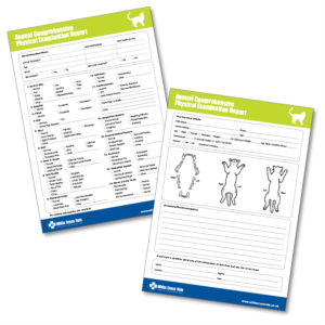 CWP Annual Comprehensive Physical Examination Forms – Cat (Supplied As 2 Pads Of 100 Sheets)