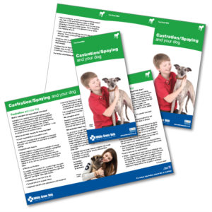 Castration/Spaying And Your Dog Leaflets (D03) (Supplied As 250 Leaflets)