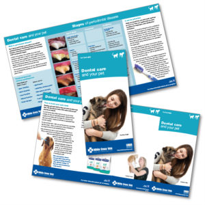 Dental Care Leaflet (G02) (Supplied As 250 Leaflets)