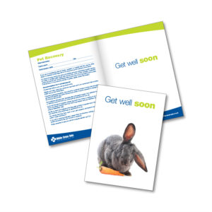 Get Well Soon Cards – Rabbit (Supplied As 50s)