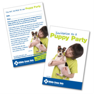 Puppy Party Invitations (Supplied As 250 Invites)