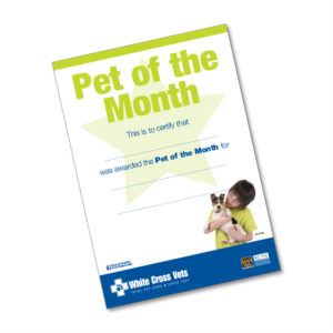 Pet Of The Month Certificate (Supplied As 12 Certificates)
