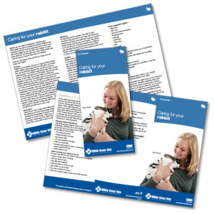 Caring For Your Rabbit Leaflets (R01) (Supplied As 250 Leaflets)