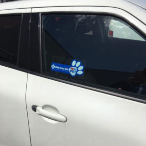 Car Sticker2