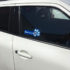 Car Sticker2