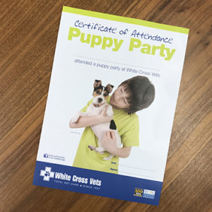Puppy Party Certificate (Supplied As 100 Certificates)