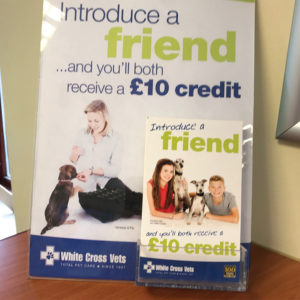 Recommend A Friend Leaflet Dispenser – With Display Print (Each)