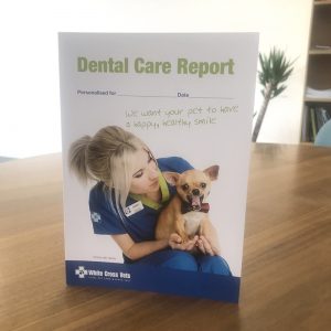 Dental Care Report (Supplied As 250s)