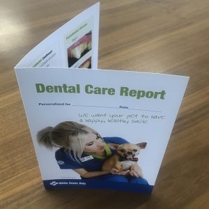 Dental 2