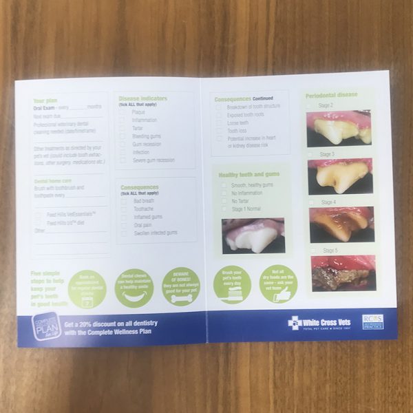 Dental 3