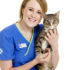 Nurse Top