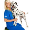 Nurse Trousers – Don’t Crop