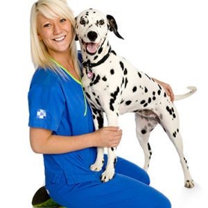 Nurse Trousers
