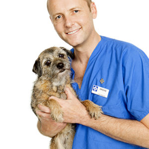 Vet Tops