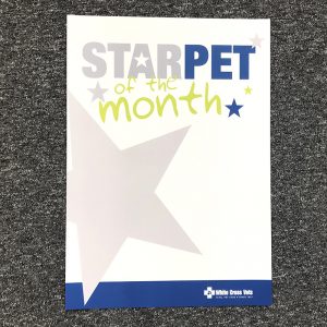 A2 Star Pet Of The Month Poster (Each)