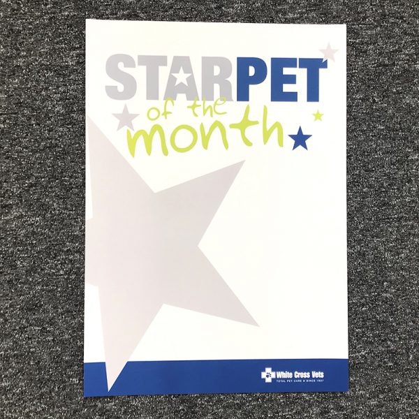 Star Pet Poster