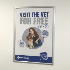 A0 CWP Poster (cat And Dog) (Supplied As One Of Each Poster)