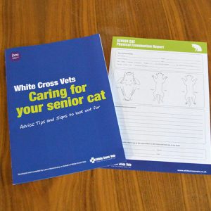 Senior Cat Pack – Caring For Your Senior Cat (x50)