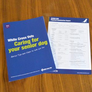 Senior Dog Pack – Caring For Your Senior Dog (x50)
