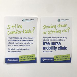 A4 Canine Arthritis Management (CAM) Posters (Supplied As Four Double-sided Posters)