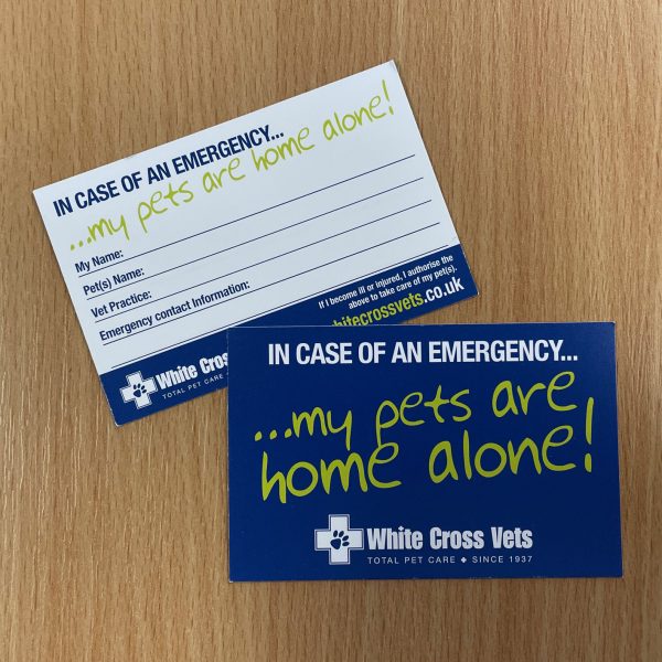 Emergency Contact Card